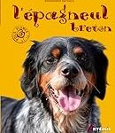 Les Meilleurs Produits pour Épagneuls Bretons à Adopter: Analyse et Comparaison Les Meilleurs Produits pour Épagneuls Bretons à Adopter: Analyse et Comparaison