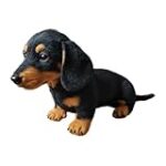 Pourquoi mon chien saute et mordille : Analyse des meilleures solutions pour les propriétaires de chiens.