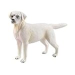 Les meilleurs produits pour animaux de compagnie : Guide d'achat pour un labrador chiot sable
