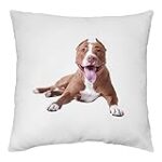 Analyse comparative : Découvrez les différences entre le pitbull et le staff pour choisir les meilleurs produits pour animaux de compagnie