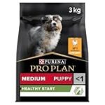 Guide complet des essentiels pour chiot : planifiez le bonheur de votre compagnon à quatre pattes ! Guide complet des essentiels pour chiot : planifiez le bonheur de votre compagnon à quatre pattes !