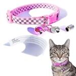 Top 10 des noms de chat originaux pour femelles: Trouvez le parfait pour votre compagnon félin! Top 10 des noms de chat originaux pour femelles: Trouvez le parfait pour votre compagnon félin!