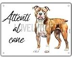 Meilleurs produits pour chiot croisé Pitbull Staff : Guide d'analyse et de comparaison
