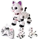 Les meilleurs produits pour les chats souffrant de tremblements des pattes arrière: Comparaison et analyse Les meilleurs produits pour les chats souffrant de tremblements des pattes arrière: Comparaison et analyse