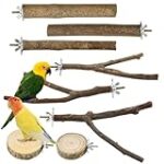 Les meilleurs arbres pour perruches : Comparaison et analyse des produits essentiels pour vos animaux de compagnie.