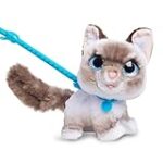 Pourquoi votre chat vous fuit-il soudainement ? Découvrez les produits pour animaux de compagnie qui pourraient aider.