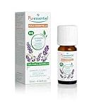 Comparaison des meilleures huiles essentielles contre les puces pour animaux de compagnie