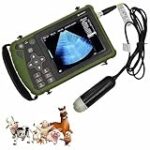 Découvrez la durée de gestation d'une chienne : ce que vous devez savoir pour mieux préparer l'arrivée de ses petits