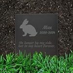 Les meilleurs accessoires pour lapins : Comparaison des produits incontournables pour vos petits compagnons Les meilleurs accessoires pour lapins : Comparaison des produits incontournables pour vos petits compagnons