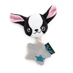 Guide complet pour trouver les meilleurs produits pour votre chihuahua à poils courts à vendre Guide complet pour trouver les meilleurs produits pour votre chihuahua à poils courts à vendre